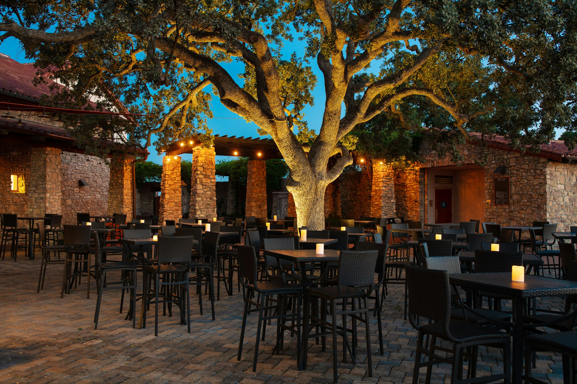 Terrace at dusk with lights on each table and an upward facing light on a large oak tree
